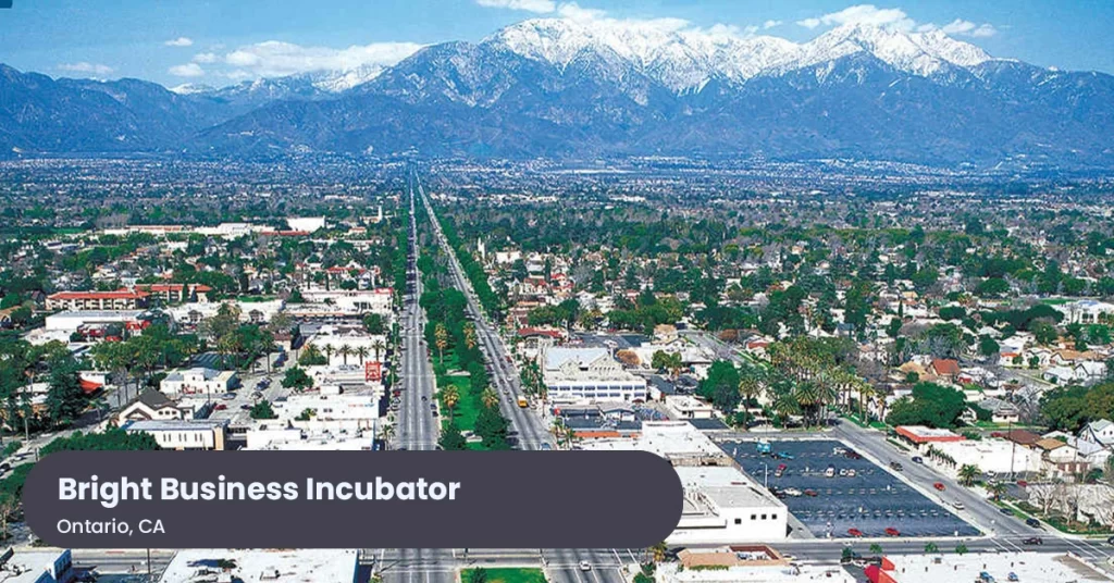 Bright Business Ontario - Florin Diumea