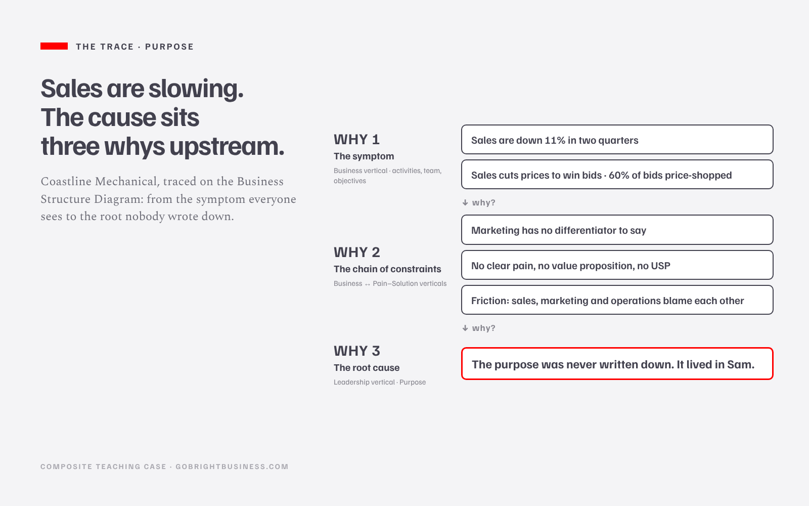 Sam's trace: sales down, sales selling on price, marketing with no differentiator, no clear pain or value proposition, and at the root a purpose never written down. Each step is a why that leads one level deeper, from the business vertical to the leadership vertical.